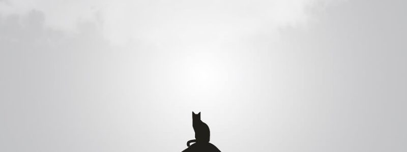 minimal-blogger-11